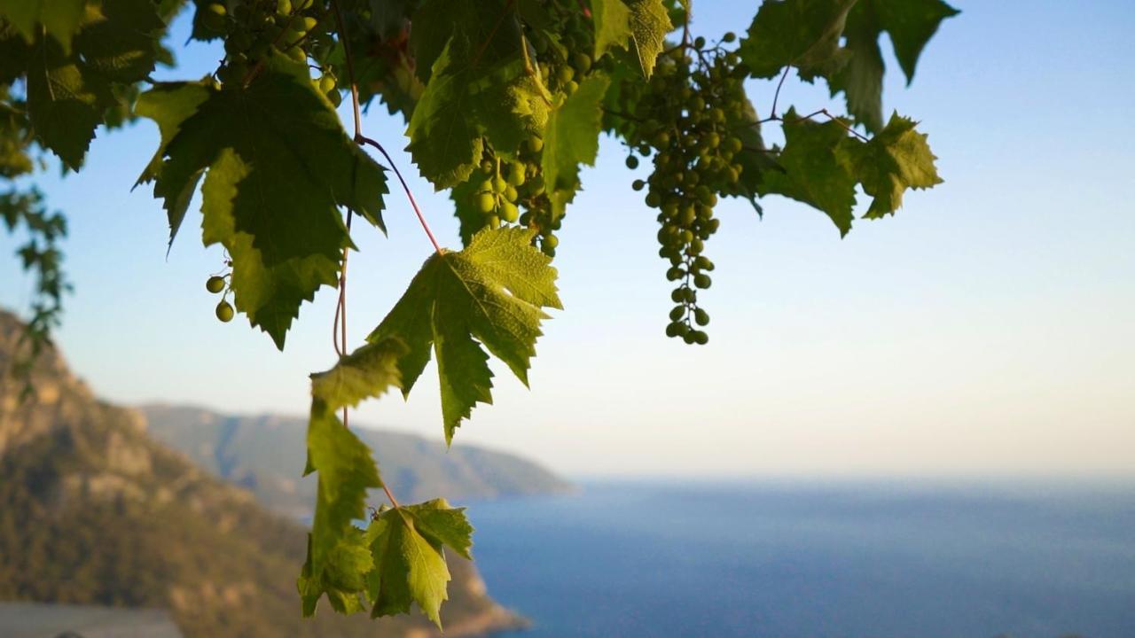 Kabak Mamma'S Pension Restaurant & Terrace Bar 페티예 외부 사진